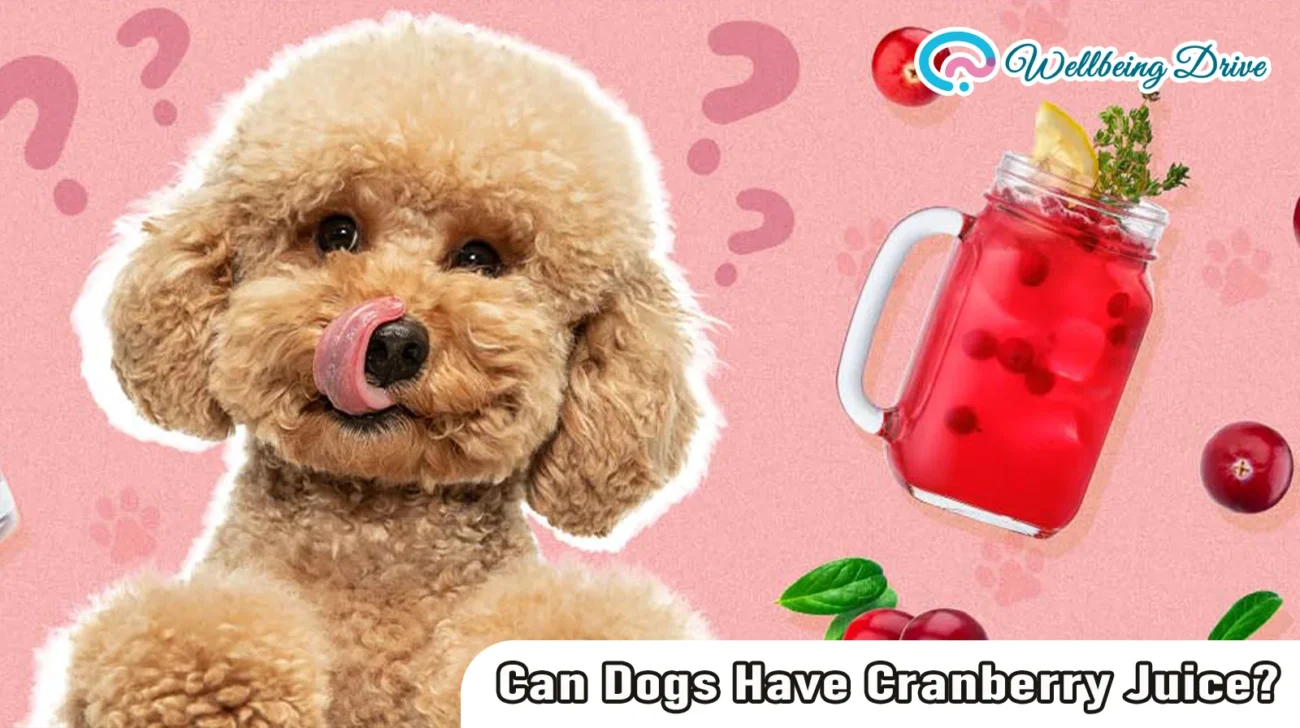Can Dogs Have Cranberry Juice